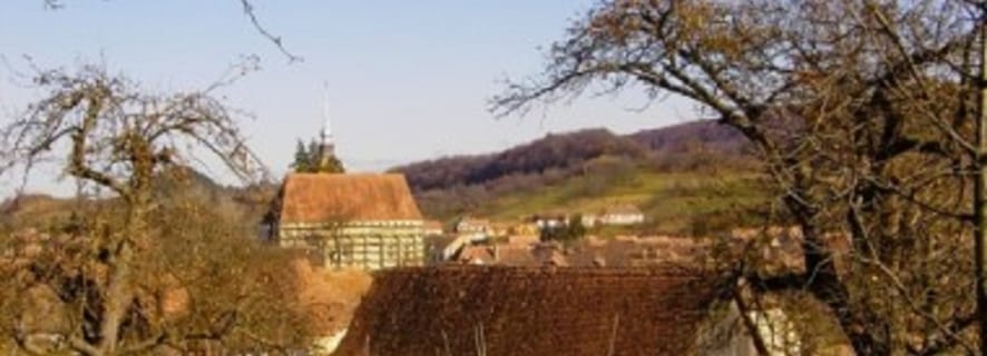 From Sighisoara: Half-Day Tour to Malancrav & Biertan