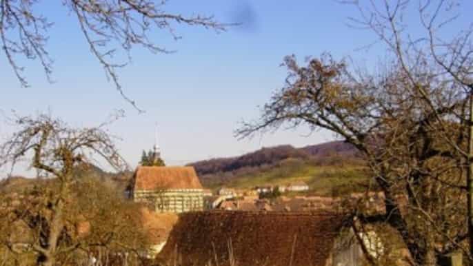 from sighisoara halfday tour to malancrav biertan