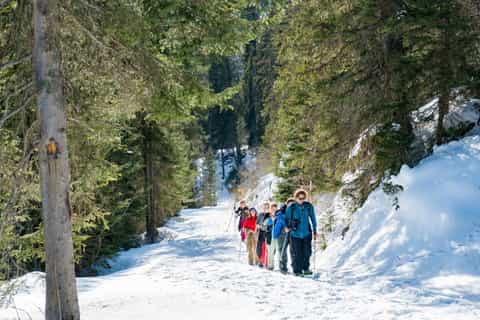 Snowshoe Trekking in the Swiss Alps