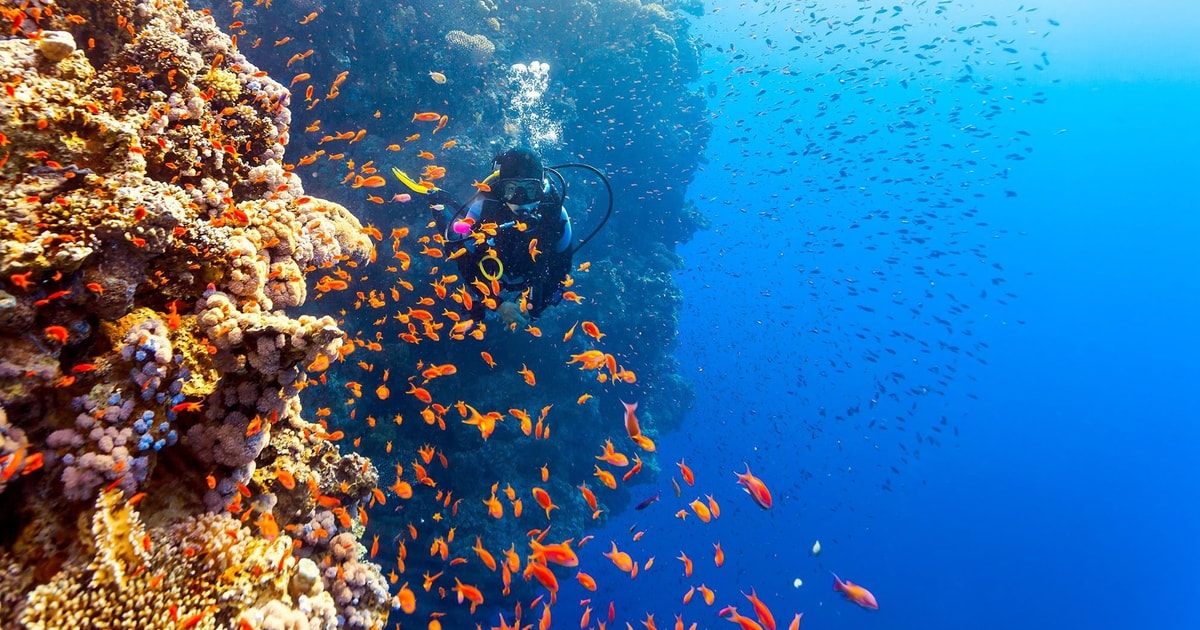 Image activité