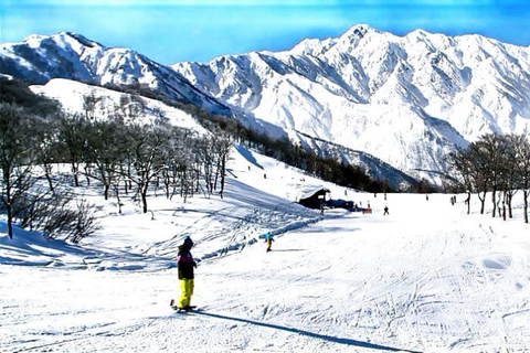 From Tokyo: Nagano Full Day Private Snow Monkey Park Tour