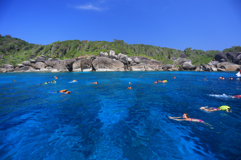 Depuis Khao Lak : plongée avec tuba dans les îles Similan