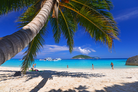 Tagestour ab Khao Lak: Schnorcheln auf den Similan-Inseln