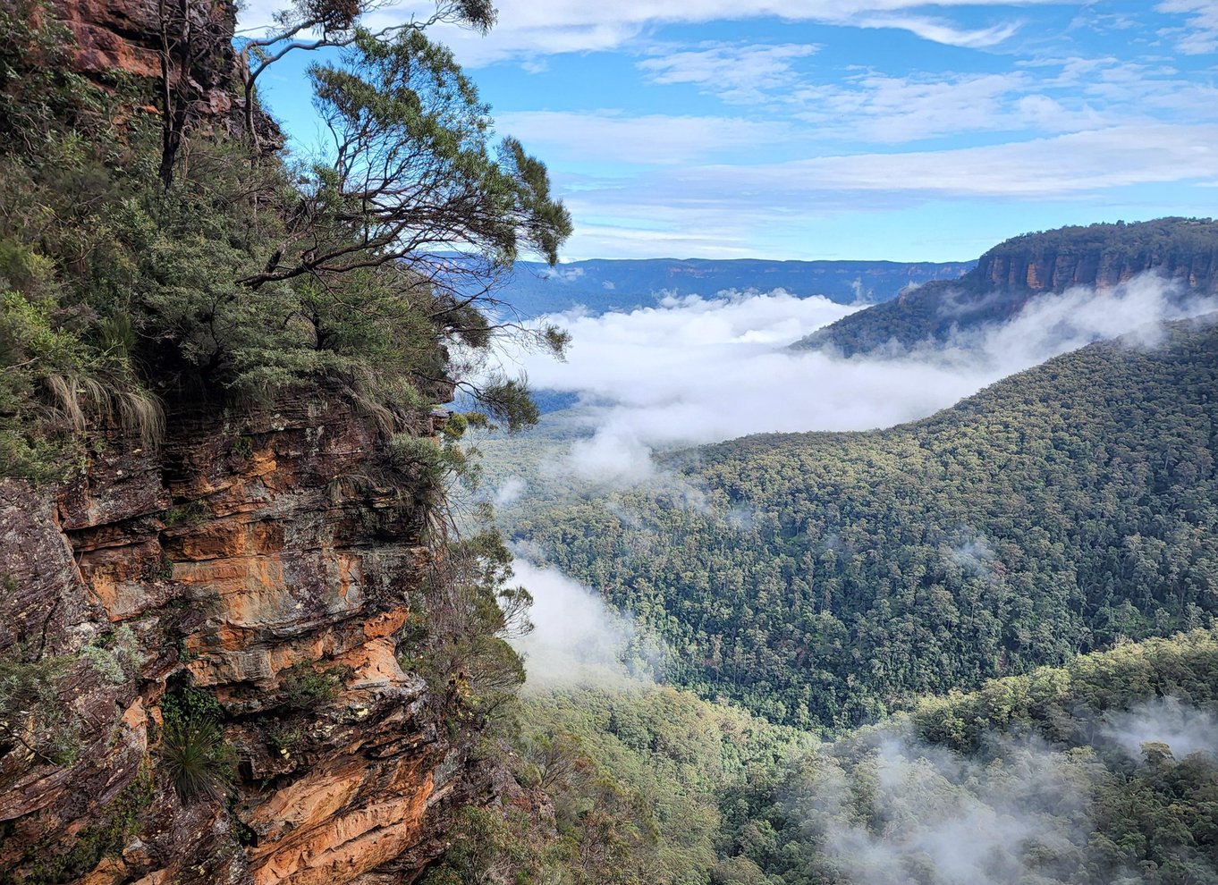 Fra Sydney: Blue Mountains-tur med vandfaldsvandring og frokost