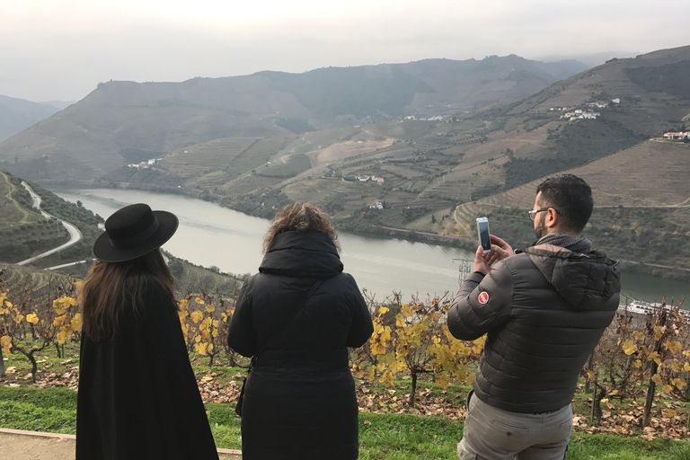 From Porto: Private Douro Valley Tour with Cruise and Wine