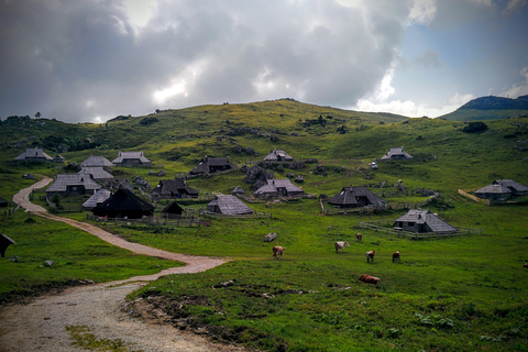 Ljubljana: Velika Planina and Logar Valley Hiking Tour