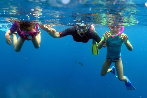 Punta Cana: snorkel en la isla CatalinaDesde el área de Dominicus
