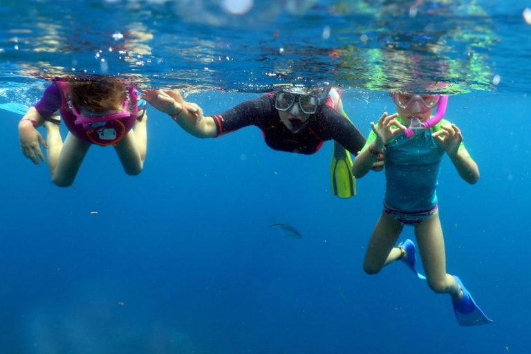 Punta Cana : plongée en apnée au large de l'île de CatalinaDe la région de Dominicus