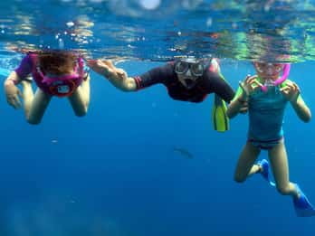 From Punta Cana: Small Group Catalina Island Snorkeling Tour