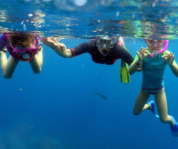 From Punta Cana: Small Group Catalina Island Snorkeling Tour