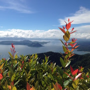 Private | Tagaytay Midlands & Taal Volcano Boat Ride (2-in-1)