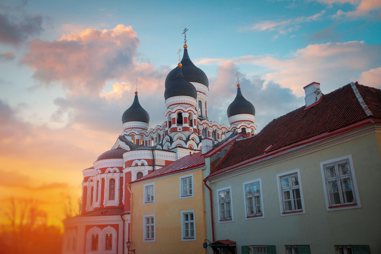 Tallinn: 2-hour Best Intro Walking Tour with a Local 120 min - Private Tour