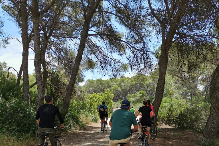 Valência: passeio de bicicleta e barco pelo Parque Natural da Albufera