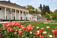 Frankfurt a Black Forest, Baden-Baden, Friburgo y en coche - Housity