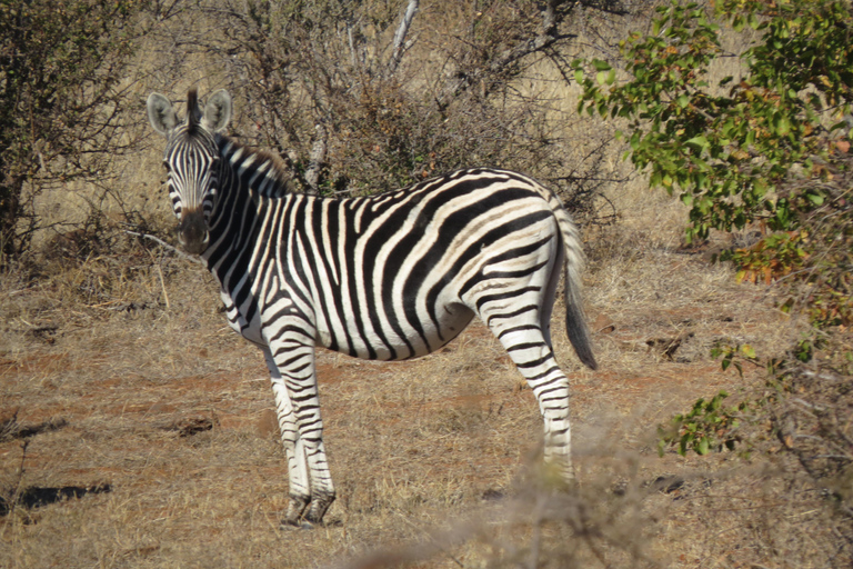 Zimbabwe: 7-Day Victoria Falls, Hwange & Matobo Tour