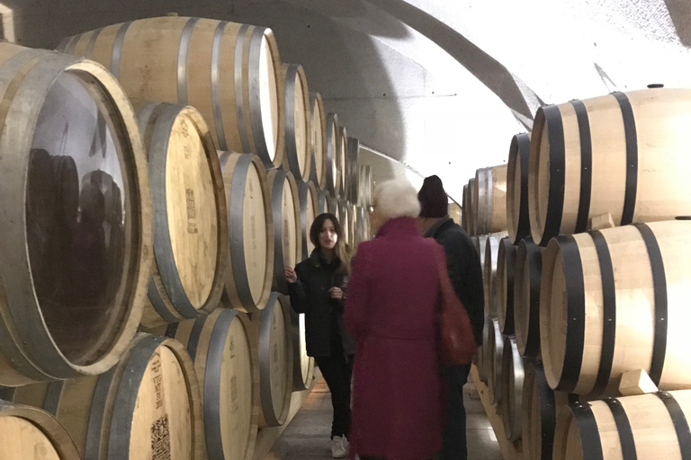 From Porto: Private Douro Valley Tour with Cruise and Wine