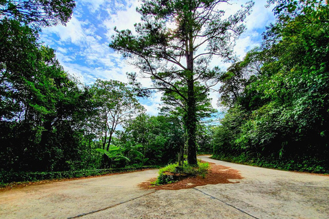 Från Da Nang: Vandring i nationalparken Bach MaGruppresa (max 15 personer/grupp)