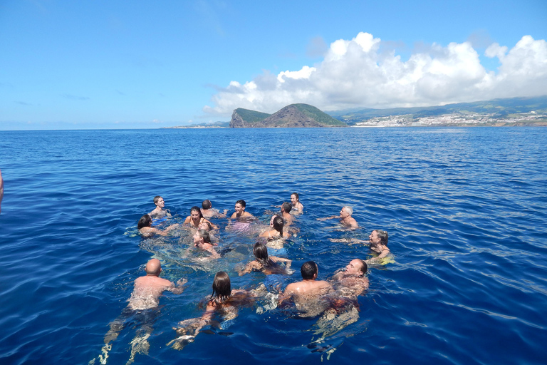 (إيلهيوس داس كابراس في جزيرة تيرسيرا).