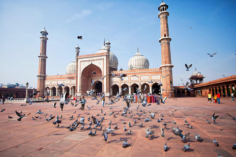 3 Hours Old Delhi Walking Tour Old Delhi Photography Tour with Guide+Tickets+Pick-Up & Drop