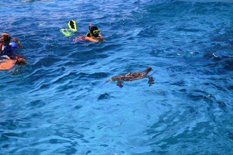 Z Khao Lak: całodniowe nurkowanie z rurką na wyspach Similan
