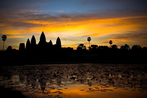 Sunrise at Angkor Wat Temple: 3-Hour Private Tour