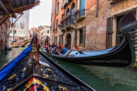 Vanuit Rovinj: boottocht Venetië, dagtocht of enkele reisVanuit Venetië: enkele reis naar Venetië per boot