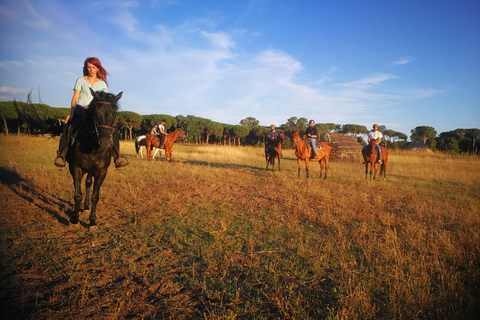 Horse Sanctuary in Rome Elevating the Ride: Summer in the Simbruini Mountains