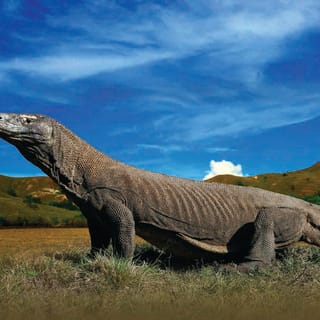 Komodo Islands: Private 2-Day Tour with Boat Stay