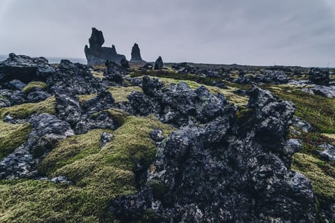 From Reykjavik: Snæfellsnes Day Tour and Home Cooked Meal