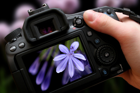 Foto Workshop in München, 3 hours, theory and praxis