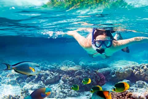 Red Sea Governorate: Orange Bay Snorkeling Cruise with Lunch