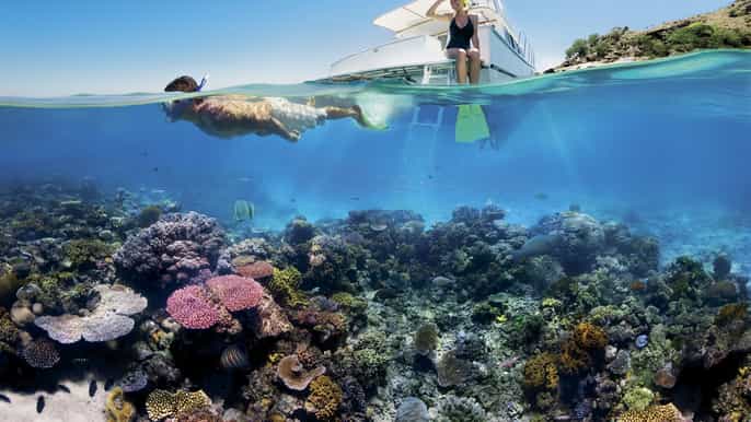 fra hurghada heldagssnorkeltur til sharm el naga