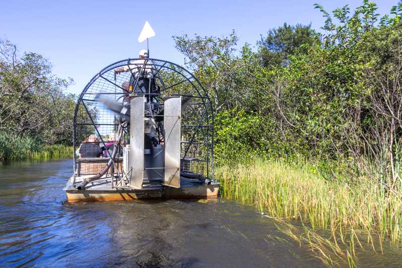 From Miami Everglades Park Airboat Ride & Wildlife Show GetYourGuide
