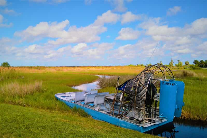 From Miami: Everglades Park Airboat Ride & Wildlife Show | GetYourGuide