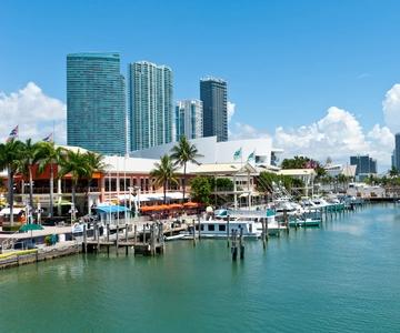Miami: Half-Day City and Boat Tour