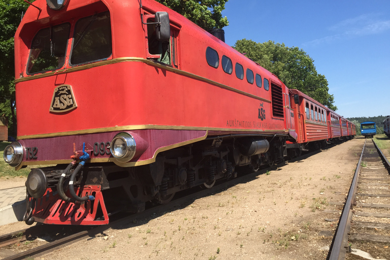 De Vilnius: Viagem de um dia a Anykščiai e à Colina das Cruzes