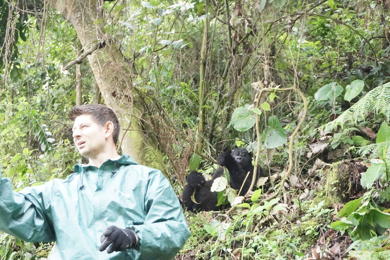 10-tägiger Besuch in Uganda und Primaten-Safari