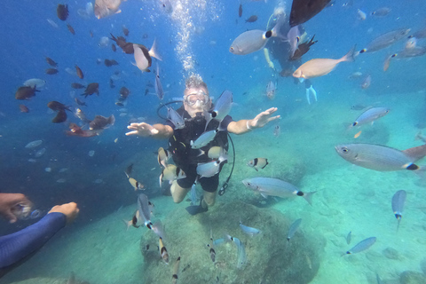 Alanya: Full-Day Scuba Diving Tour with Lunch /2 Dives