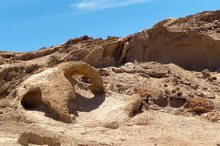 Walvis Bay: Cruiseliner Excursions