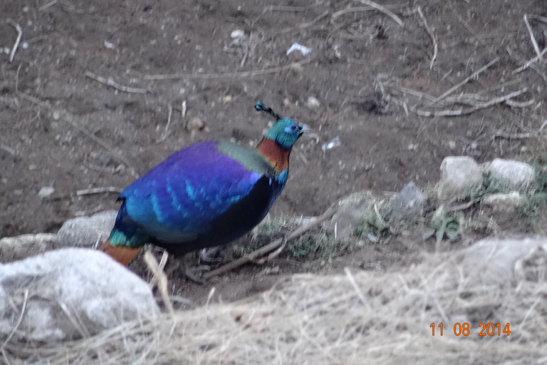 Mount Everest Base Camp: Helicopter Tour from Kathmandu