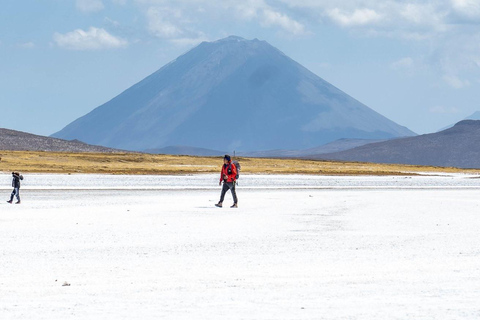 Arequipa : Excursión a la Laguna de Salinas