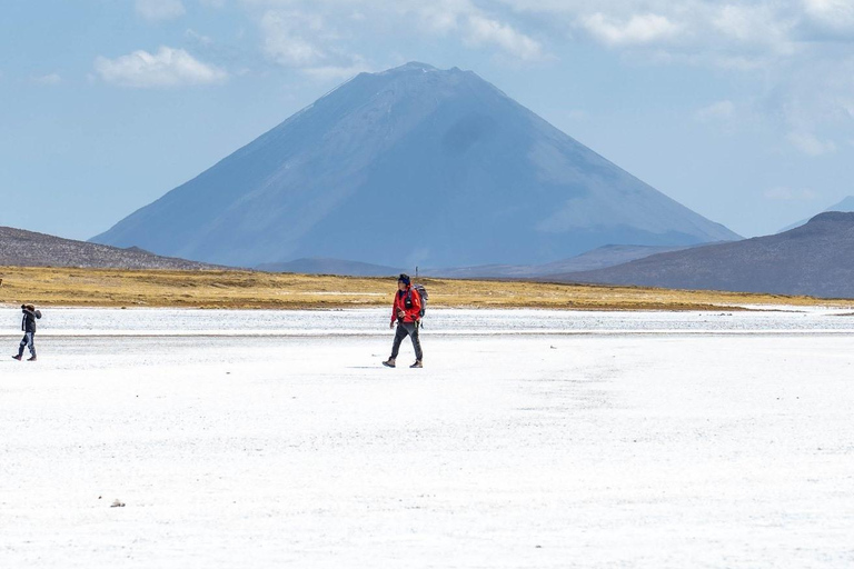 Arequipa : Excursión a la Laguna de Salinas