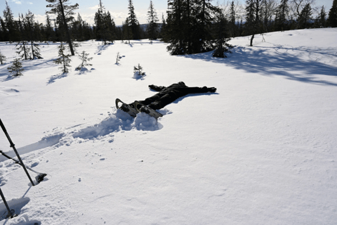 Levi: Geführte Schneeschuhwanderung mit heißen Getränken