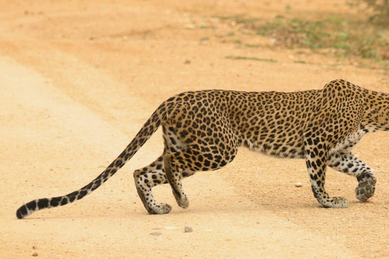 Sri Lanka 14-Day Small-Group Cycling Tour