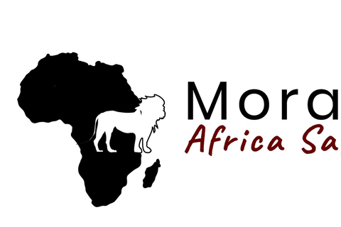 Desde Arusha: safari de 2 días por Tarangire y NgorongoroDesde Arusha: safari de 2 días a Tarangire y Ngorongoro