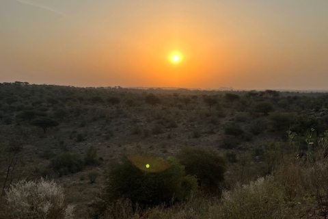 Safari à dos de chameau à Jodhpur et nuit dans le désert
