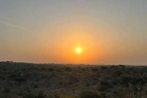 Safari en camello por Jodhpur y pernoctación en el desierto