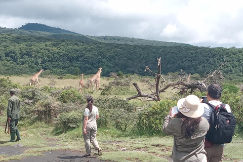 Arusha Park Memorable Safari Tour