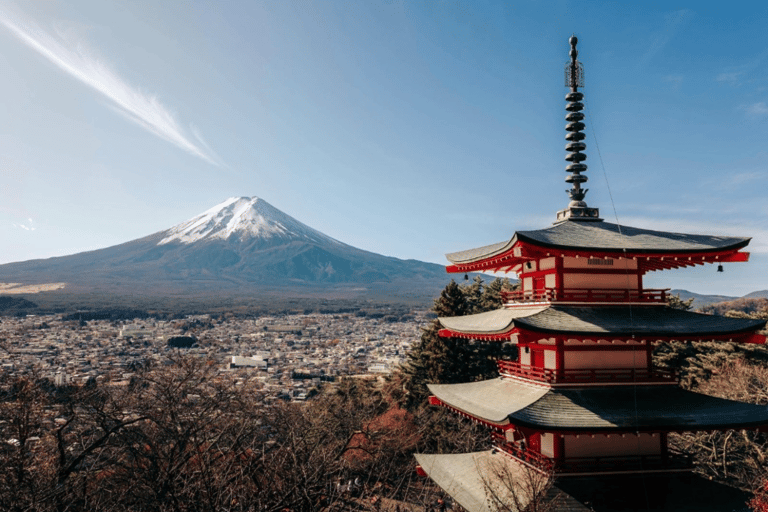 From Tokyo: Mount Fuji & Hakone Private Tour with Guide