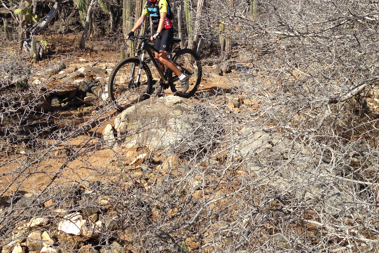 Noord: viagem de mountain bike para pilotos avançados ou extremos